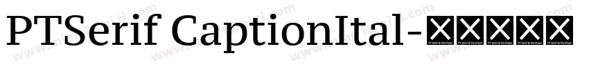 PTSerif CaptionItal字体转换